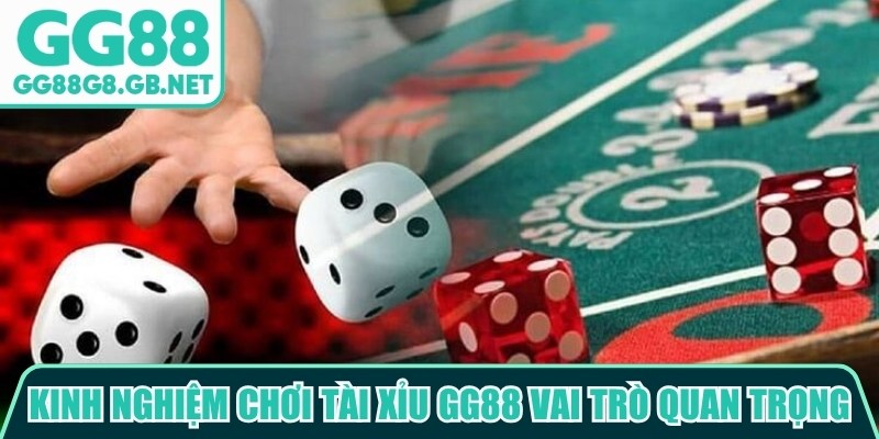 Kinh nghiệm chơi t&agrave;i xỉu GG88 đ&oacute;ng vai tr&ograve; rất quan trọng